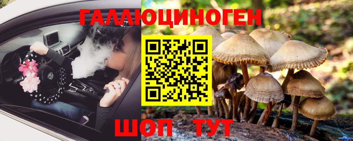 Псилоцибиновые грибы Psilocybine cubensis  Псилоцибиновые грибы прущие грибы  Железногорск  Вход с VPN 
