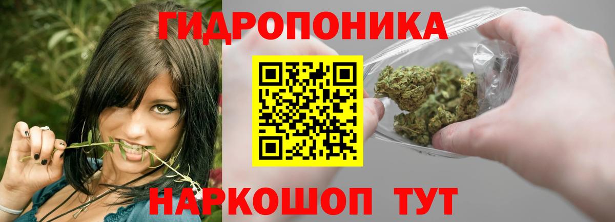 Каннабис OG Kush Железногорск